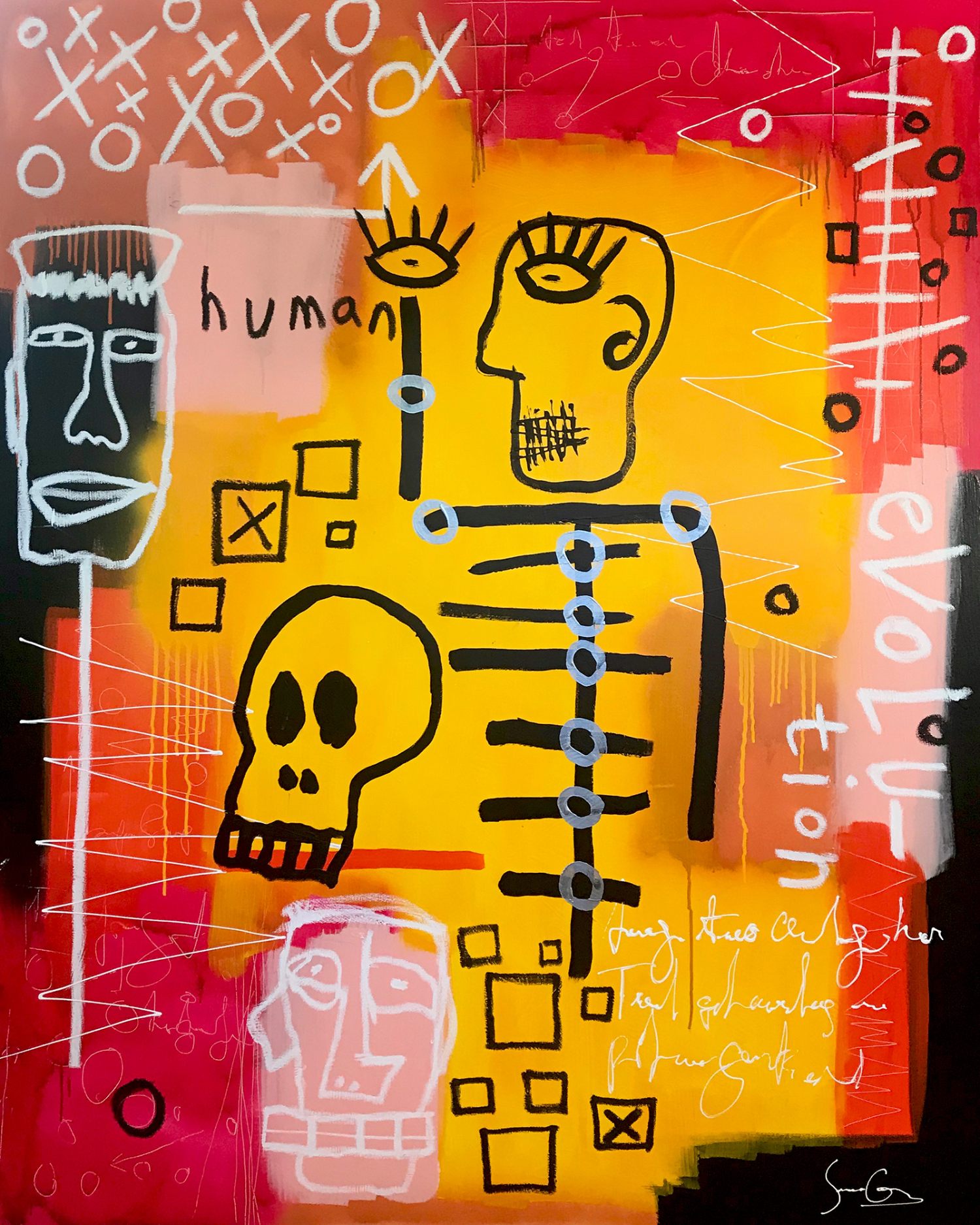 Human Evolution